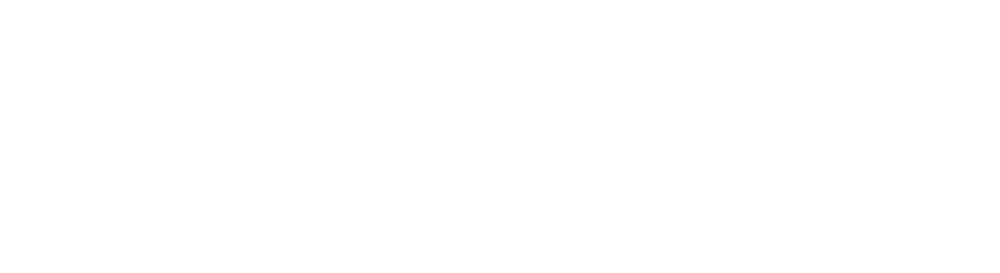 Association of Customs and HSI Special Agents